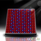 LED Grow Plant Light RCG14W for Greenhouse Solve The Heat Dissipation Excellently