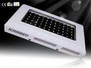 Hot Price Hydroponics &amp; Horticulture Greenhouse LED Grow Plant Light RCG55*3W