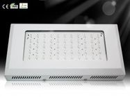 Hot Price Hydroponics &amp; Horticulture Greenhouse LED Grow Plant Light RCG55*3W