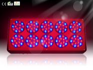 Hydroponic LED Grow Plant Light with Color Red, Black Available for Greenhouse RCAPO10