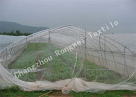 HDPE Greenhouse Insect Control Netting / Insect Protection Mesh for Fruit or Vegetable