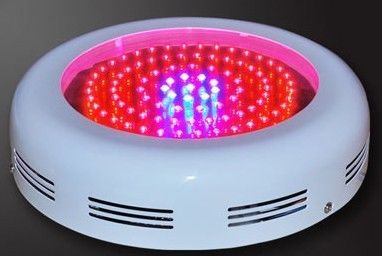 90W-GU Hydroponics &amp; Horticulture &amp;greenhouse led grow light system for indoor plants
