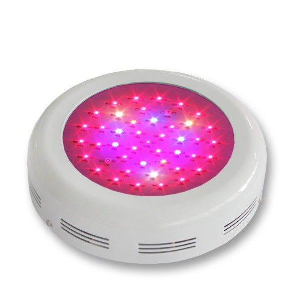 Energy Saving Round LED Plant Grow Light 3w Color Changing For Plant Gorwing And Blooming