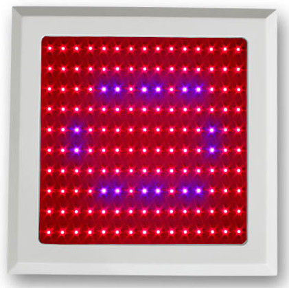 150w LED Plant Grow Light Red Blue spectrum for Vegetable Shed and botanic garde