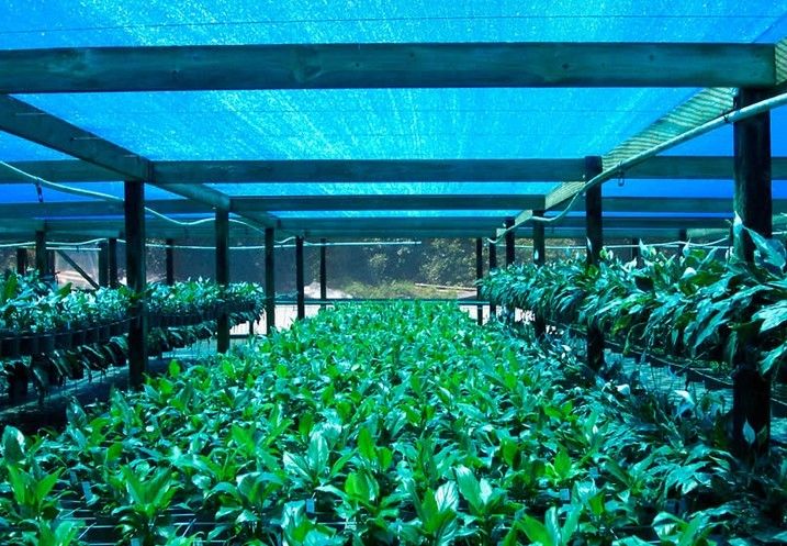 Greenhouse Shade Net ，Agricultural Shade Cloth For Flower Farm