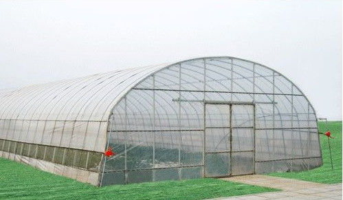 Customized energy saving Commercial greenhouses , 8000mm span tunnel greenhouse