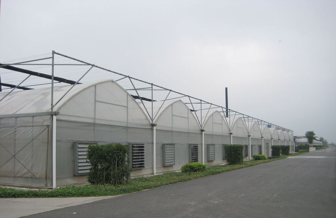 8000mm span gothic style Commercial greenhouses with air inflation film , 3000mm section