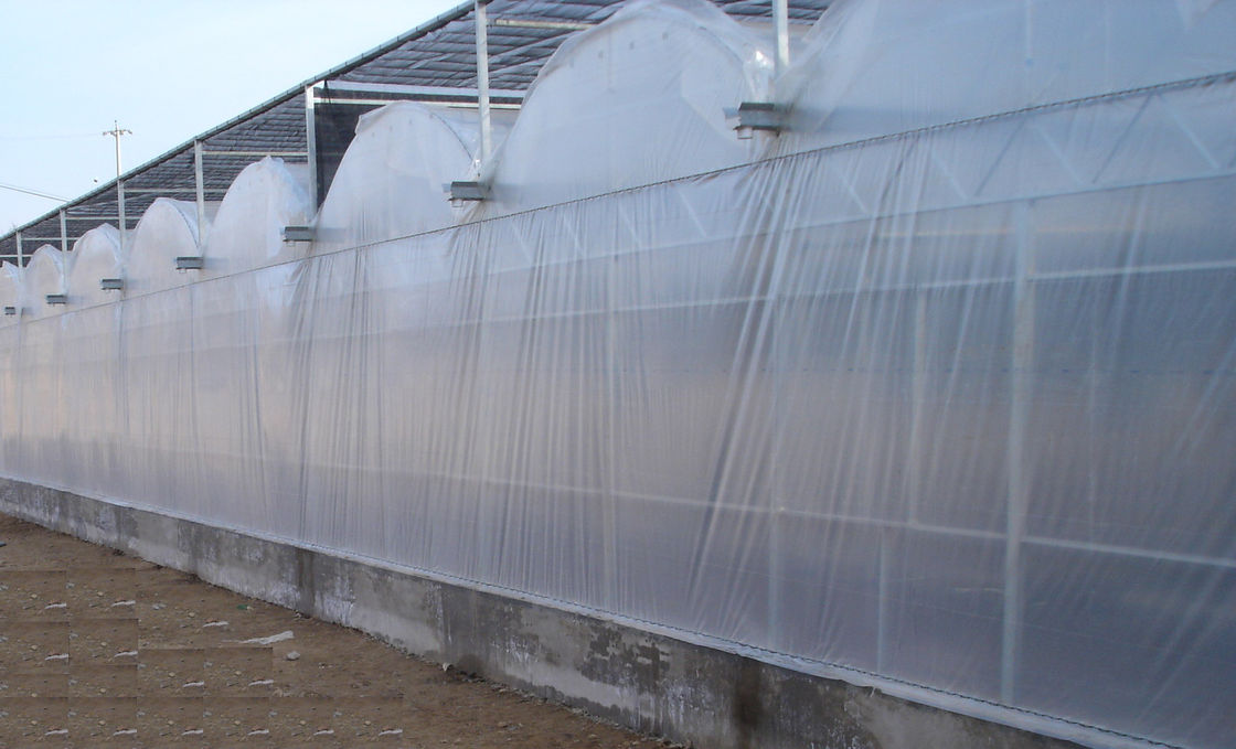 4000mm section venlo greenhouse air inflation film , 10800mm span / 3 ridges per span