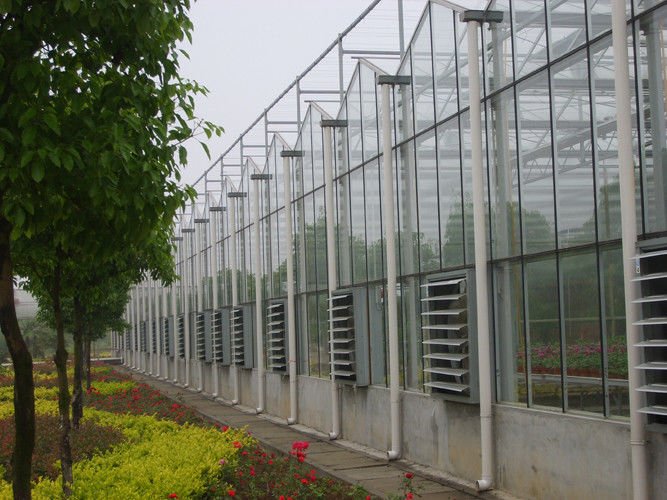 12000mm span glass Commercial greenhouses , 4000mm section Venlo greenhouse