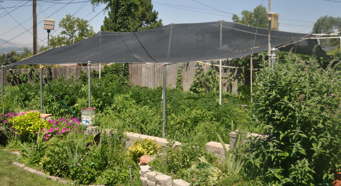 High Screen Power Garden Shade Netting For Courtyard , Hdpe With Uv