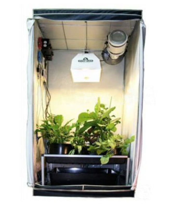 120x120x200cm Greenhouse Hydroponics Mylar Grow Tent With 95% Light Reflectivity