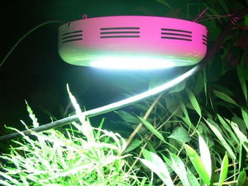 90W-GU Hydroponics & Horticulture &greenhouse led grow lights for indoor plants