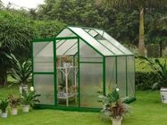 Small 10mm UV Polycarbonate Hobby Mini Greenhouse for Garden and Yard 6' X 6'