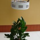 Energy Saving High Power LED Grow Plant Light Kits RCG 50W for Greenhouse