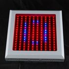 High Power RCG150W hydroponic LED Grow Plant Lights  for Greenhouse