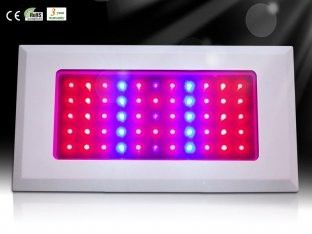 Hot Price Hydroponics &amp; Horticulture Greenhouse LED Grow Plant Light RCG55*3W