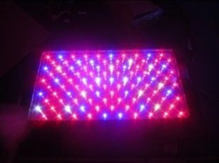 Cheap Red LED Grow Plant Lights RCG100*3W for Horticulture Greenhouse