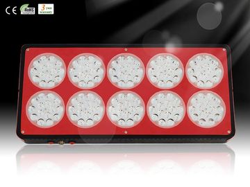 Hydroponic LED Grow Plant Light with Color Red, Black Available for Greenhouse RCAPO10