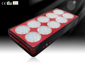 Hydroponic LED Grow Plant Light with Color Red, Black Available for Greenhouse RCAPO10