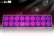 Best LED Hydroponics &amp; Horticulture Grow Plant Light RCAPO18 for Greenhouse