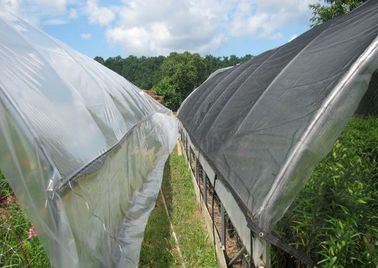Black Plastic Greenhouse Shade Netting For Agriculture , 4 x 100m