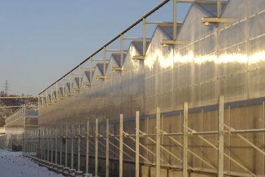 4000mm section Commercial Venlo polycarbonate greenhouse 2 / 3 ridges per span , 9600mm span