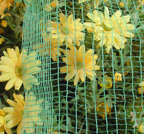 Green Square Braid Structure Olive Netting / HDPE Nets For Harvesting Olives