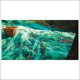 Green Square Braid Structure Olive Netting / HDPE Nets For Harvesting Olives
