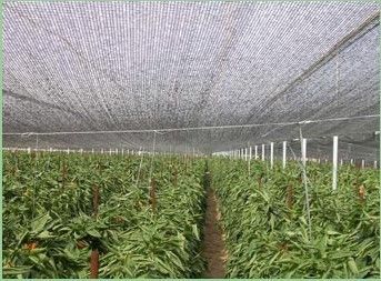 Outdoor Greenhouse Sun Shade Netting For Vegetable , Flower Growth