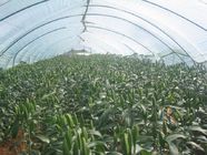 hdpe uvioresistant  greenhouse shade net in china
