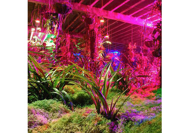 0.6m Indoor LED Plant Grow Lights For Green House And Hydroponics Growing