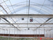 Cheap commercial greenhouse