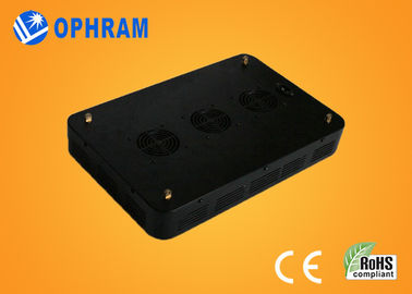 High Power IP20 Full Spectrum LED Grow Lights for Seedling / Leafy