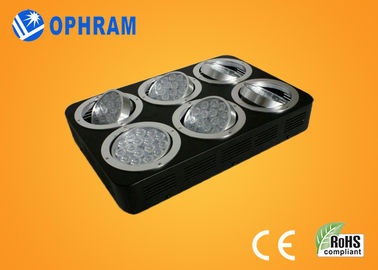 High Power IP20 Full Spectrum LED Grow Lights for Seedling / Leafy