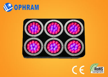 High Power IP20 Full Spectrum LED Grow Lights for Seedling / Leafy