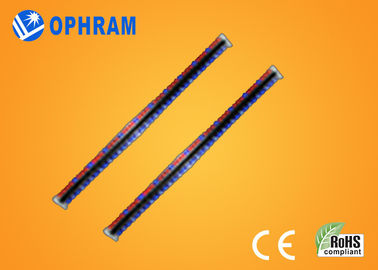 High brightness Epistar IP65 Red And Blue LED Grow Lights With CE / ROHS