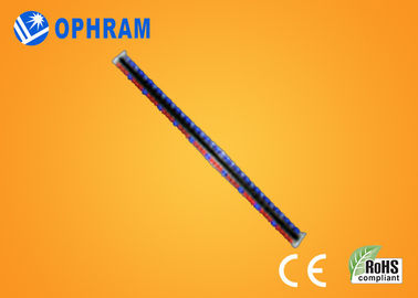 High brightness Epistar IP65 Red And Blue LED Grow Lights With CE / ROHS