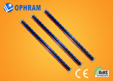 High brightness Epistar IP65 Red And Blue LED Grow Lights With CE / ROHS