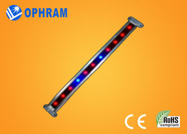 10W SMD 2835 Vegetable / Flowering LED Grow Lights with 180° Beam Angle