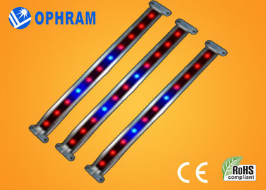 10W SMD 2835 Vegetable / Flowering LED Grow Lights with 180° Beam Angle