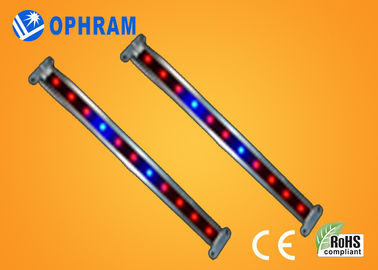 10W SMD 2835 Vegetable / Flowering LED Grow Lights with 180° Beam Angle