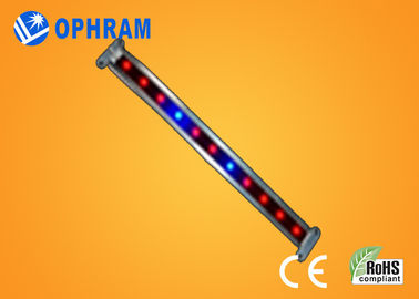 10W SMD 2835 Vegetable / Flowering LED Grow Lights with 180° Beam Angle