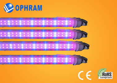 50Hz / 60Hz 230V / 240V Full Spectrum LED Grow Lights For Vegetable