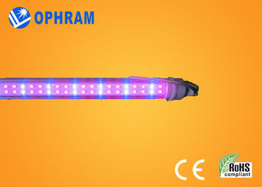 High Power IP20 Tomato / Lettuce / Marijuana Indoor Led Grow Lights AC85V-265V