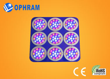 Epistar Red / Blue Full Spectrum LED Grow Lights With Metal Case