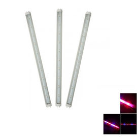 G13 LED Plant Grow Lights Red And Blue Hydroponic for Agriculture Greenhouse