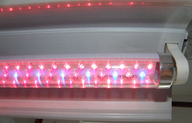 G13 LED Plant Grow Lights Red And Blue Hydroponic for Agriculture Greenhouse
