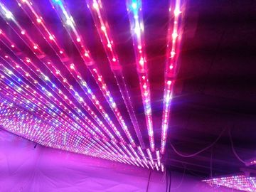 G13 LED Plant Grow Lights Red And Blue Hydroponic for Agriculture Greenhouse