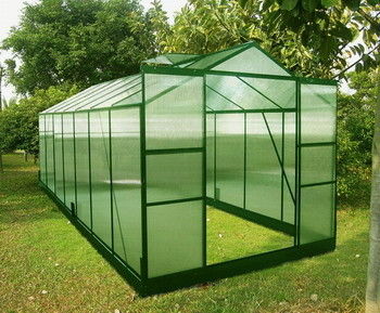Sturdy 10mm Twin-wall Polycarbonate Hobby Greenhouses for Sale 8' X 14'