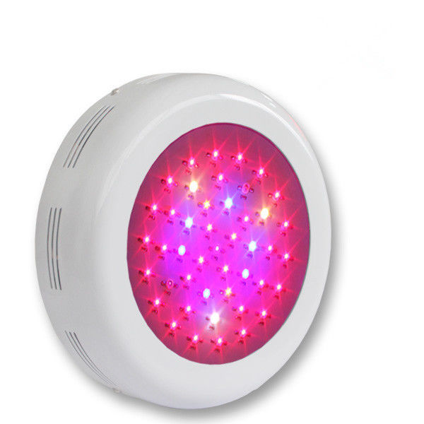 Horticulture Red Blue Spectrum LED Grow Light For Flower Exhibition , Bonsai , Garden